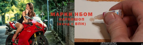 ГАЛЛЮЦИНОГЕННЫЕ ГРИБЫ Магас