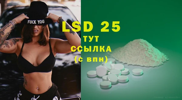 ГАЛЛЮЦИНОГЕННЫЕ ГРИБЫ Магас