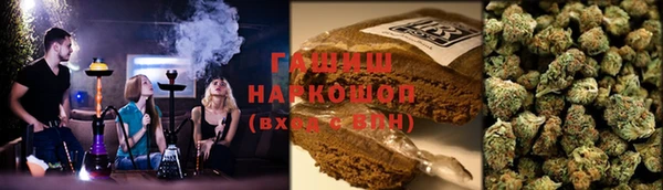 ГАЛЛЮЦИНОГЕННЫЕ ГРИБЫ Магас